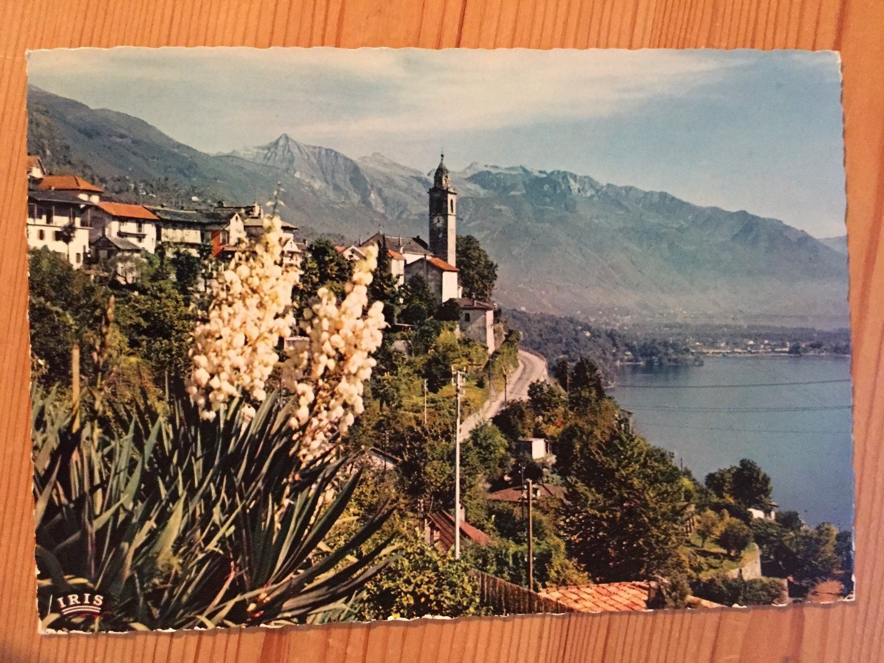 Cartoline postali: Ronco bei Ascona - AK 1964 – Usato da Oberuzwil venduto da Henri09