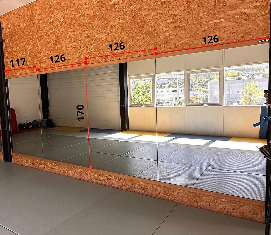 Specchi: Miroirs de salle de sport – Usato da Luc (Ayent) venduto da Cailo