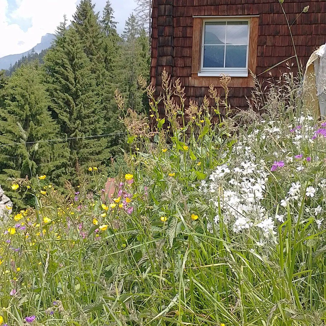 Aliments & Spécialités: Chrütersalz Urner Oberland – Neuf avec emballage d'origine à Gurtnellen par AlexandraB51 3