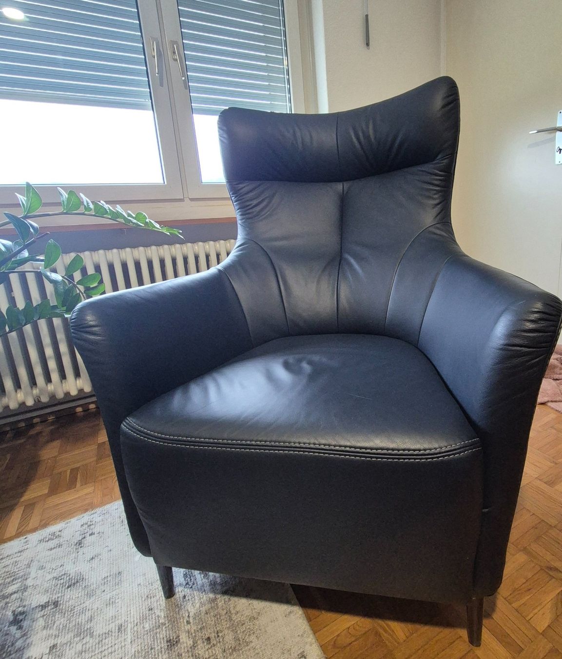 Pfister Poltrone: Ohrensessel – Usato da Mellingen venduto da Loewe2006 1