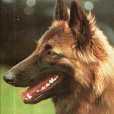 Profile image of LinaV