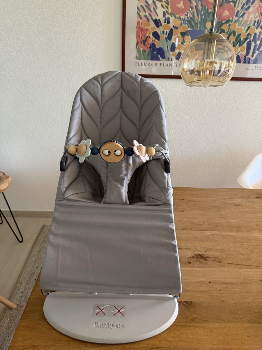 Babybjörn Wippen & Schaukeln: BabyBjörnBliss Wippe – Gebraucht aus Horgen von ann_yh7f