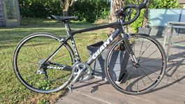 Rennrad Carbon Giant Grösse S (Frauen/Kinder)