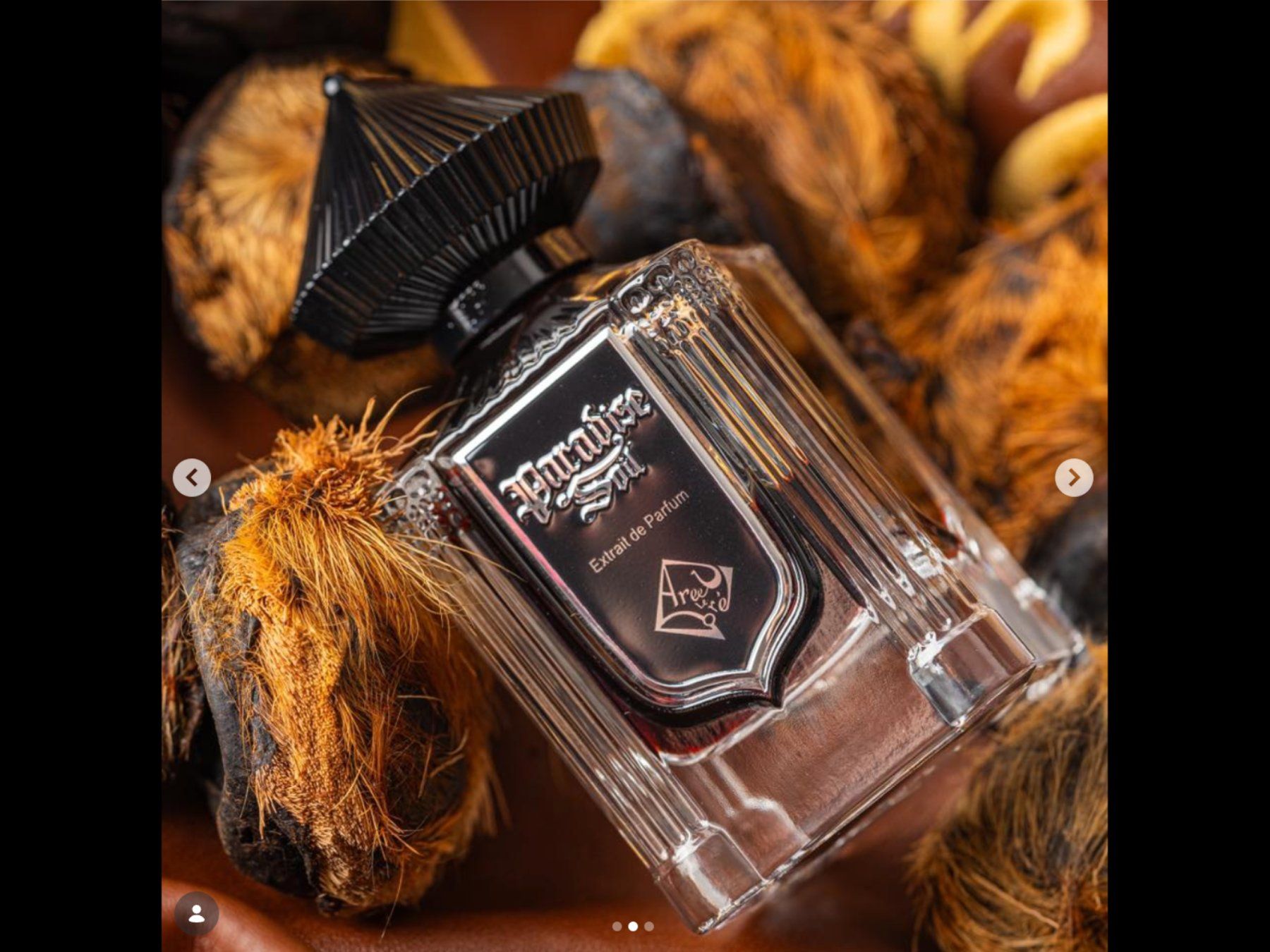 Parfum & Eau de Toilette: AREEJ LE DORé - PARADISE SOIL – Gebraucht aus Sierre von boadicea_victorious