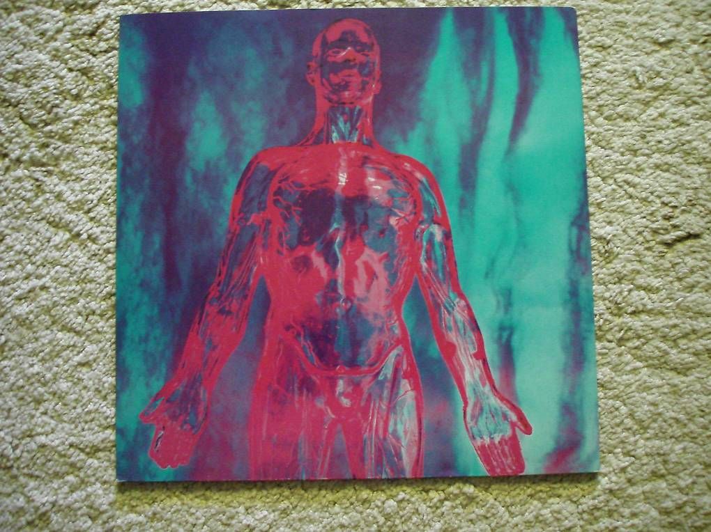 Vinyles: NIRVANA 12" MAXI SINGLE   ORIGINAL "SLIVER"   1991 – D'occasion à Niederweningen par tsnuk333