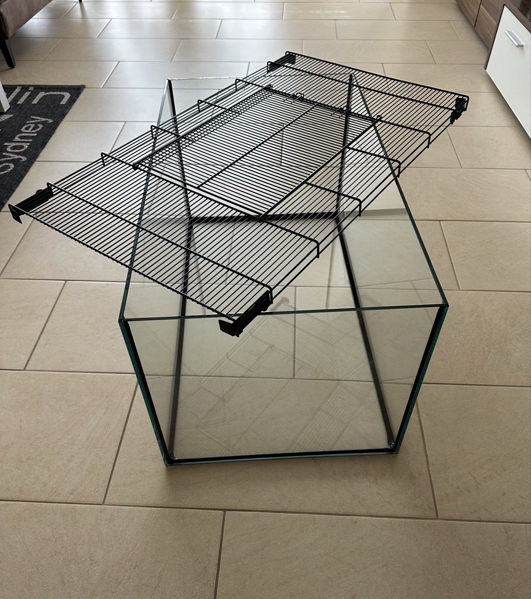 Terrario: Kleintier Terrarium  – Usato da Bülach venduto da angelo0577 1