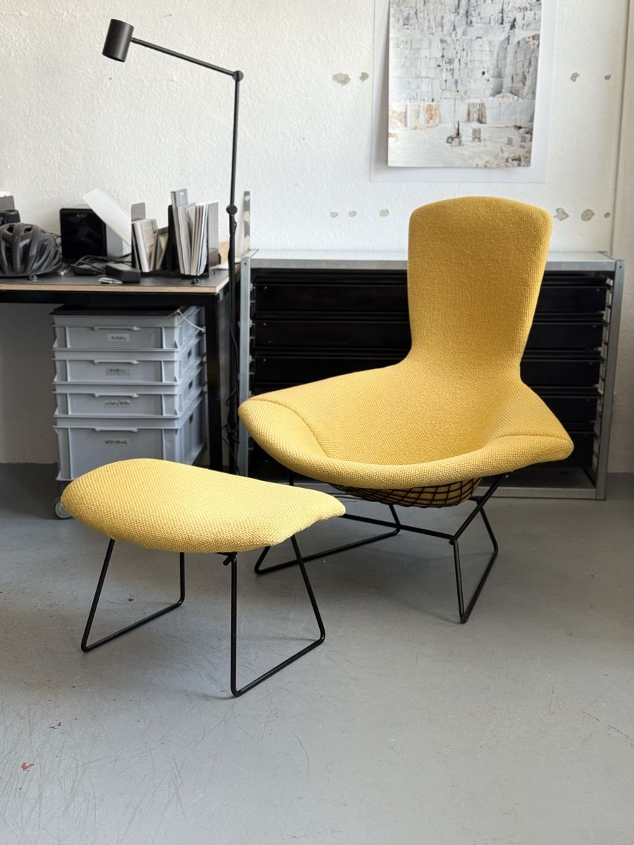 Poltrone: Design Sessel Knoll / Bertoria / Bird Chair – Usato da Zürich venduto da El-Ga
