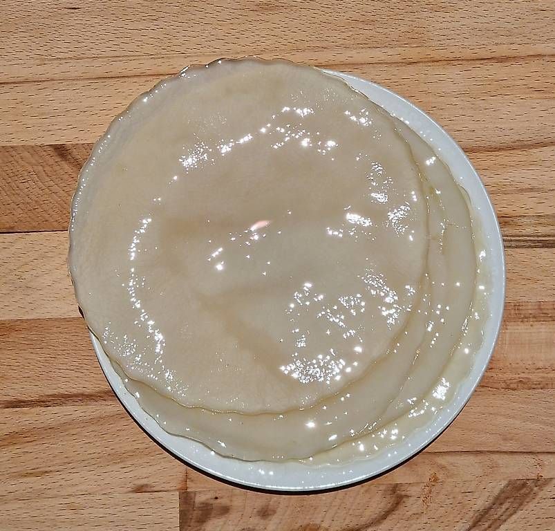 Cibi & Specialità: Riesig Kombucha SCOBY (Grüntee) – Usato da Zürich venduto da sdsp 1