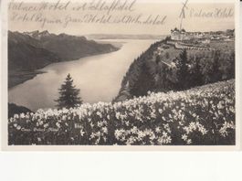 Caux 1933