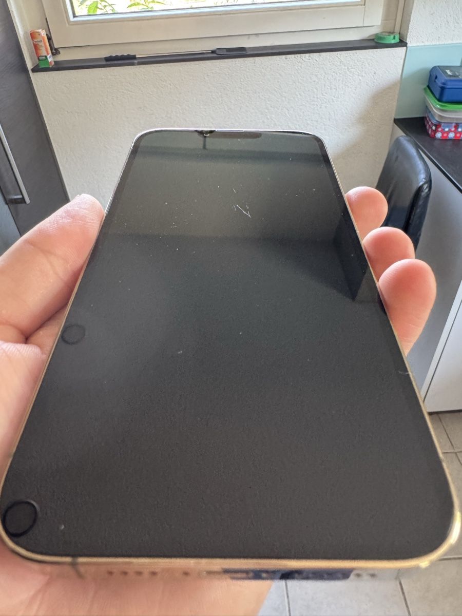 Apple Telefoni cellulari / Smartphones: iPhone 13 Pro Max 128GB – Usato da Killwangen venduto da mar_jqb5 1