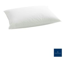 Billerbeck Kissen Duplo 150, 65x100cm, NP Fr.249.-