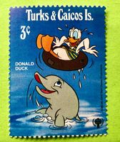 BRIEFMARKEN AUS Turks- und Caicosinseln Internationales Jahr