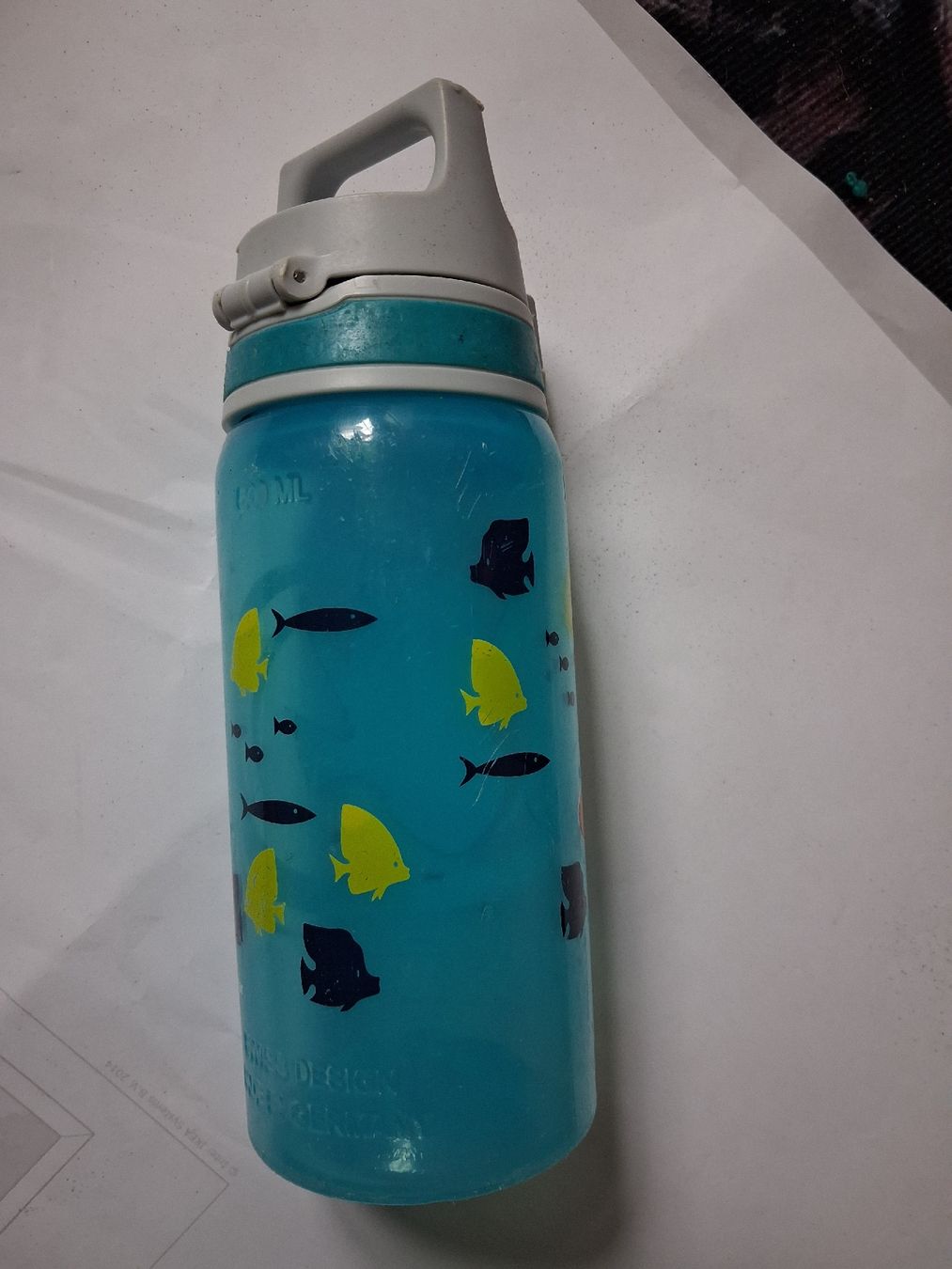 Sigg Borracce & Thermos: SIGG Kinder Trinkflasche Nemo/Dorie – Usato da Weiach venduto da Musikmaengu 1