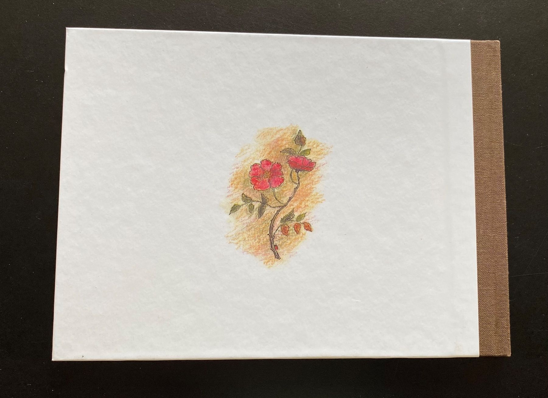 Libri: Schneeweisschen und Rosenrot / Brüder Grimm – Usato da Nussbaumen AG venduto da schuba2000 1
