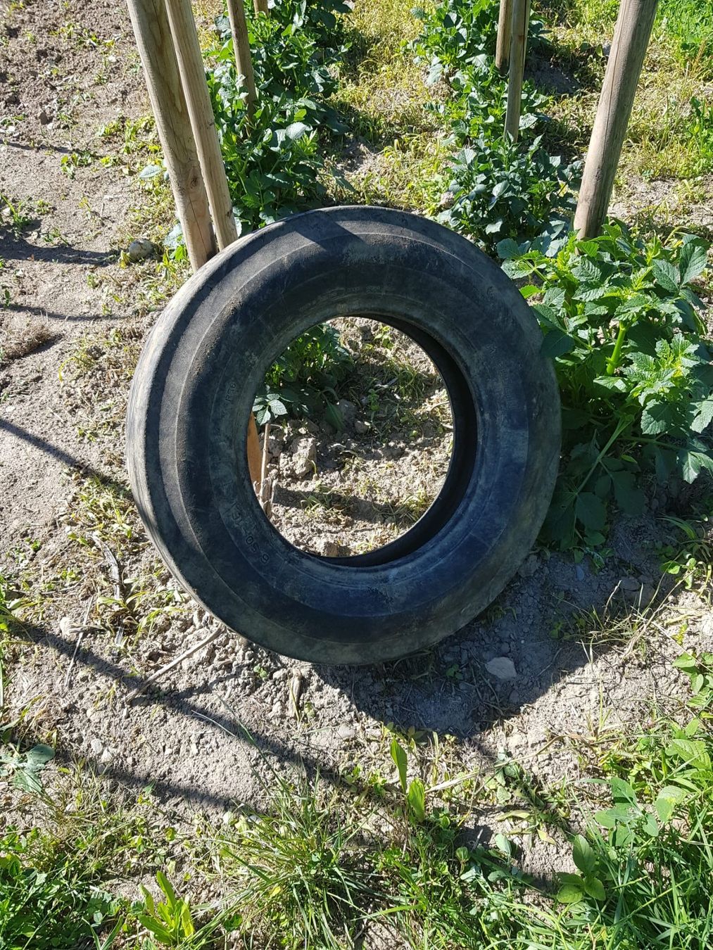 Accessori per altri veicoli: Zu Verkaufen – Usato da Auenstein venduto da Aarestein 1