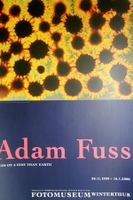 ADAM FUSS (British, *1961) Fotomuseum Winterthur, 2000