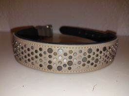 Neu! Hundehalsband mit Nieten, beige, verstellbar von HUNTER
