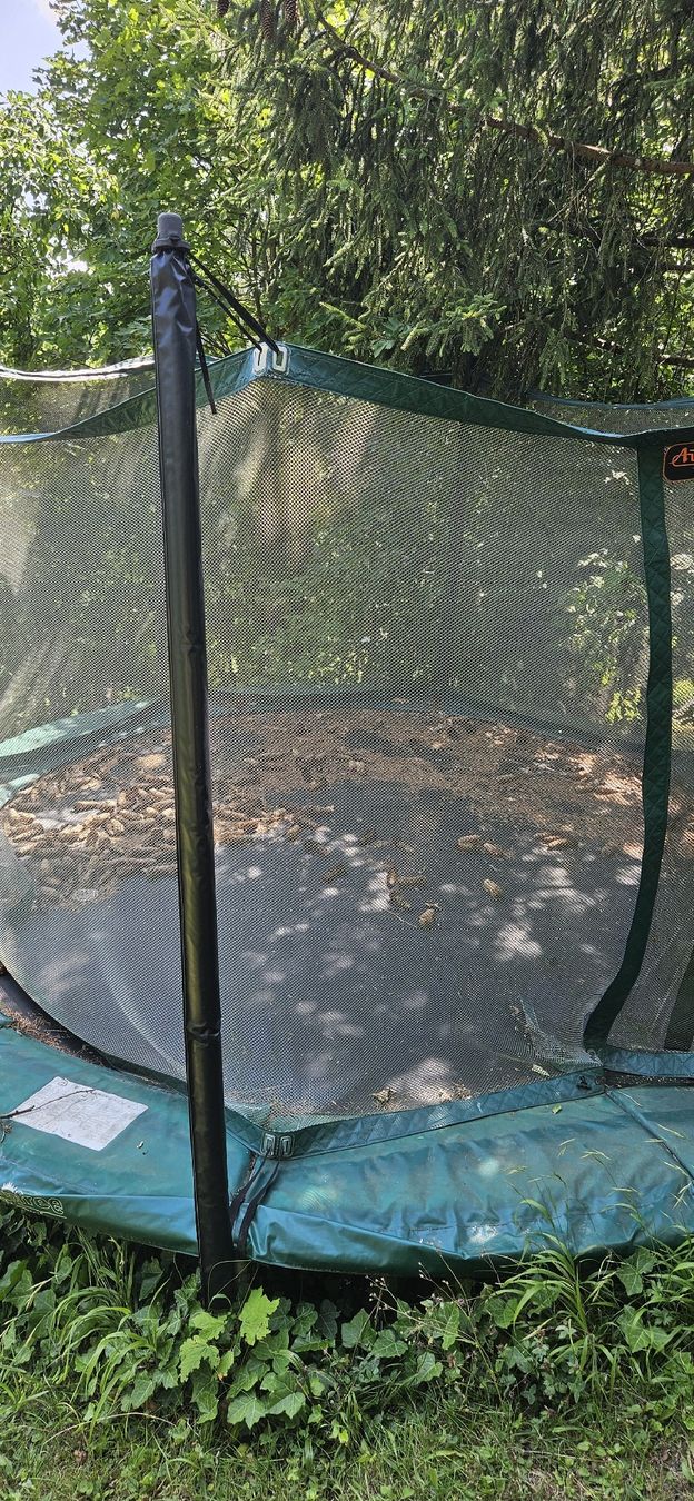 Trampolini: Trampolin mit Sicherheitsnetz Durchmesser ca. 500cm – Usato da Altstätten SG venduto da firken