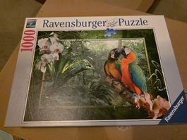 Ravensburger Puzzle 1000 Teile - Papageien