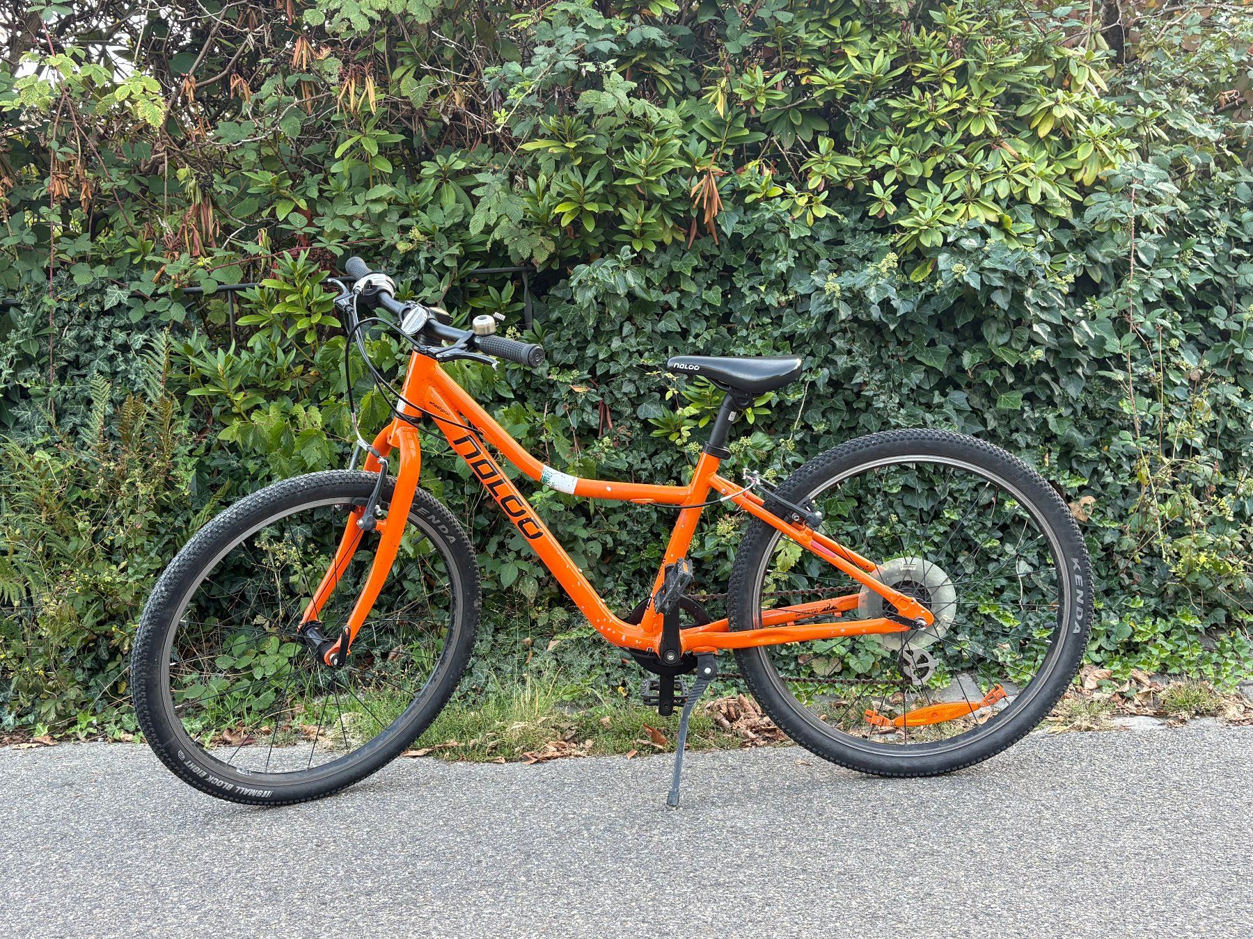 Naloo Velos: Naloo Chameleon MK2 24“ – Gebraucht aus Zürich von Gabriela_Zuerich