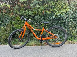 Naloo Chameleon MK2 24“