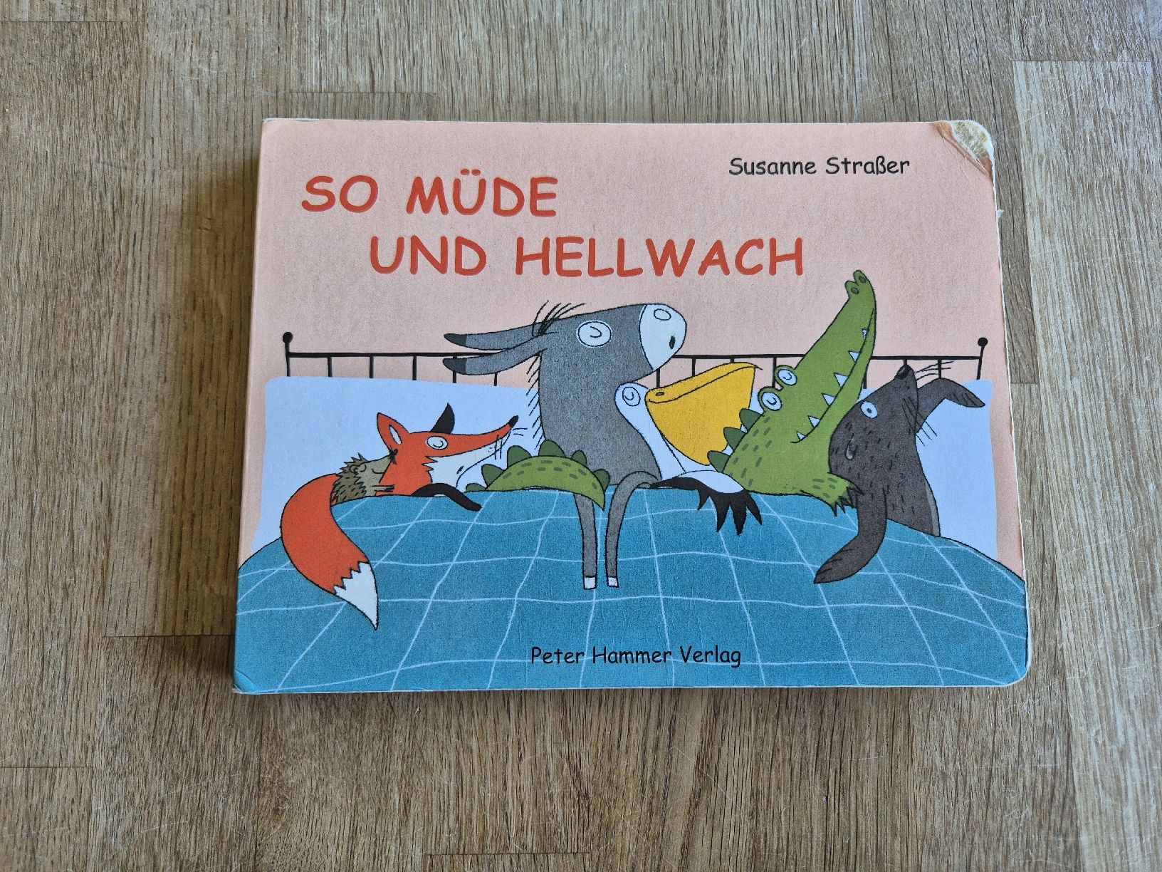 Libri: Bilderbuch: "So müde und hellwach" – Usato da Jona venduto da Mimimi87