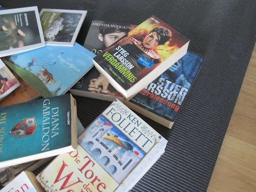 Libri: Romane, Sachbücher, Bibliographien, Gedichte – Usato da St. Gallen venduto da Technik1 1