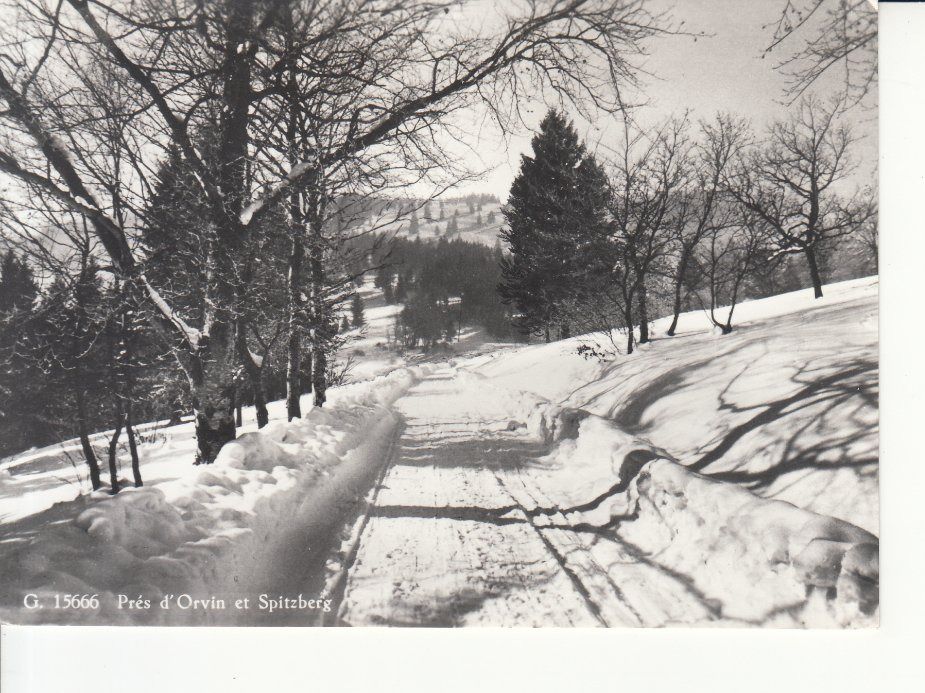 Cartoline postali: Orvin Magasin Pension, ca. 1955 – Usato da Bürglen TG venduto da StampGraf