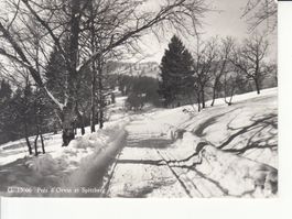 Orvin Magasin Pension, ca. 1955