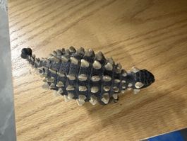 Schleich Dinosaurier Ankylosaurus Figur guter Zustand