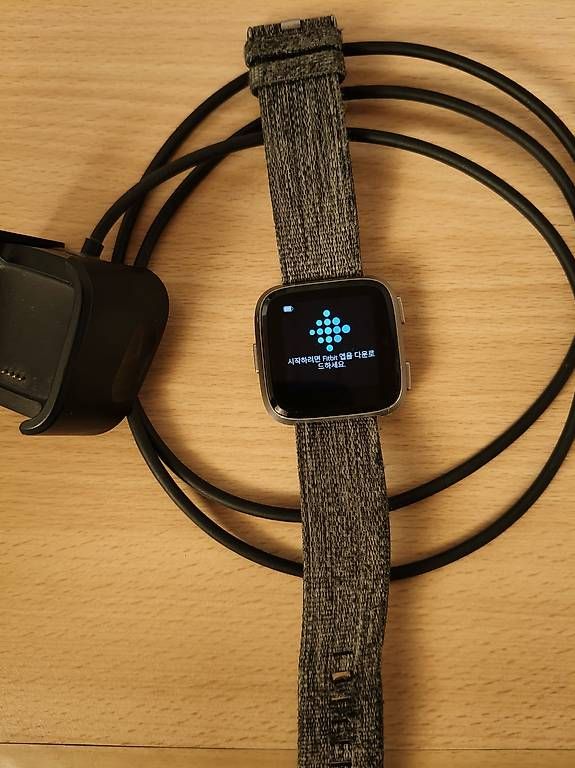 Smartwatch: Fitbit versa  – Usato da Sargans venduto da punkmarado 1