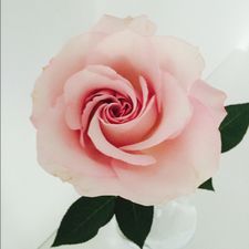 Profile image of SiviT