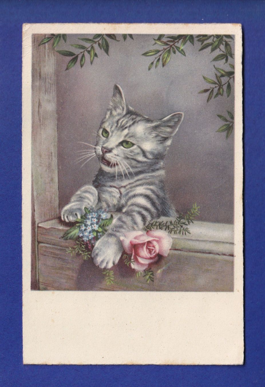 Cartes postales: CHAT – D'occasion à Pully par nicecards-shop