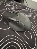 Maus
