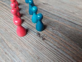 Ersatz Spielfigur / Spielsteine aus Holz für Brettspiel