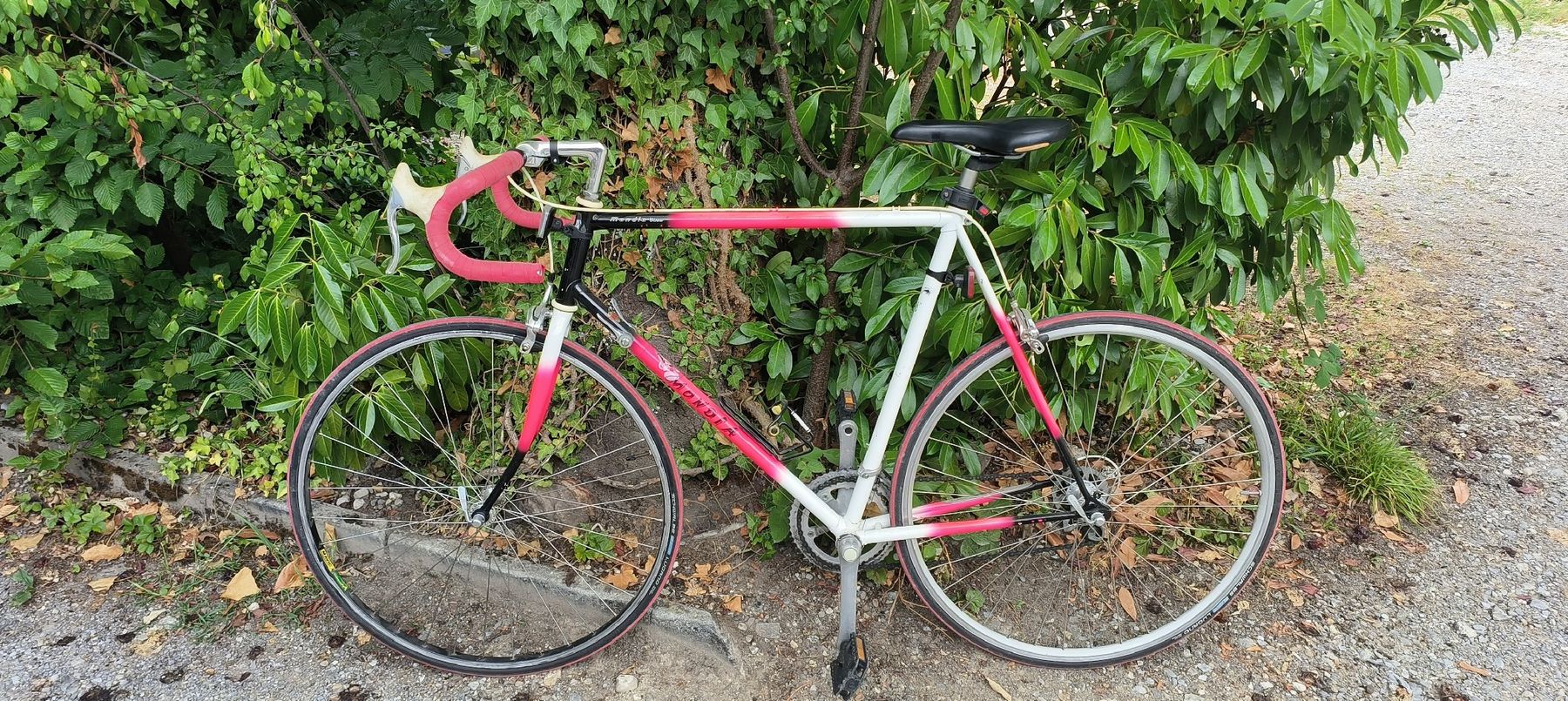 Mondia Biciclette: Rennrad Mondia Winner Vintage – Usato da Wädenswil venduto da M_Gee