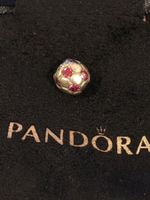 Pandora Charm