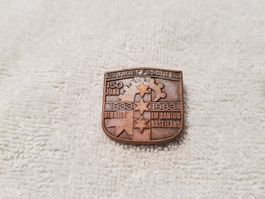 Plakette Binninger Fescht 1983 Kupfer