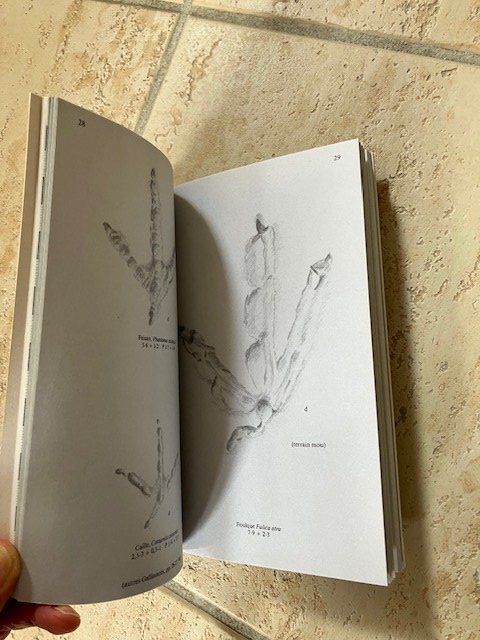Libri: Les traces d'animaux - guide de terrain – Usato da Les Ponts-de-Martel venduto da Jolisa 3