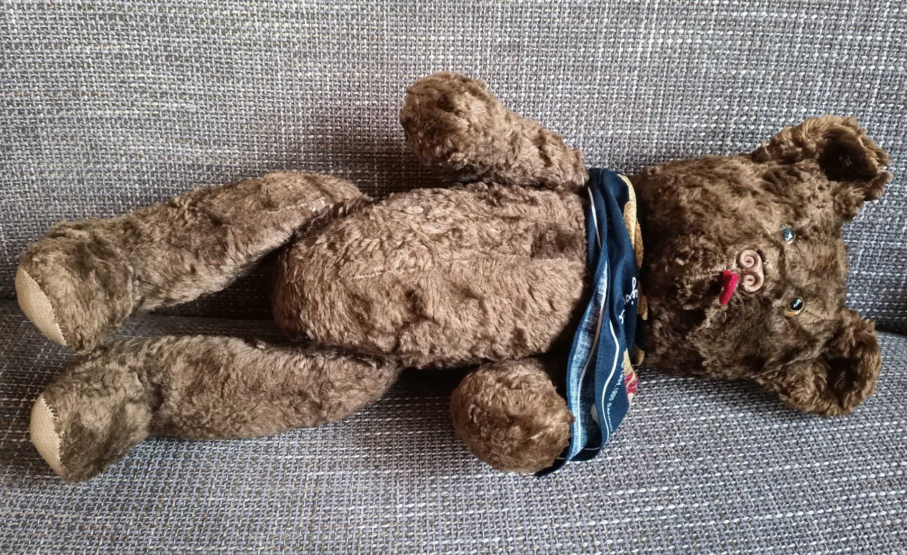 Giocattoli: Teddybär mit "Halstuch" – Usato da Schwerzenbach venduto da oldthings79 5