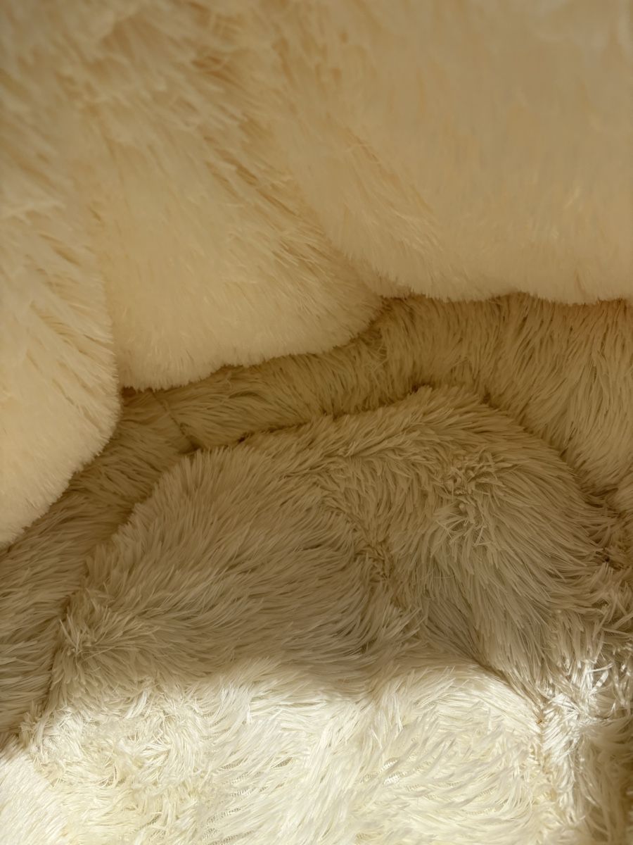 Cucce & Letti: Niche pour chien – Nuovo e nell'imballaggio originale da Jongny venduto da Rivierach 3