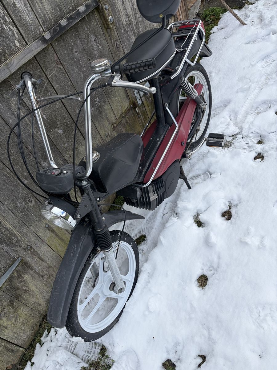 Pony Mofas: Mofa Pony 503 GTX mit Ausweis – Gebraucht aus Latterbach von Bbutz98 7