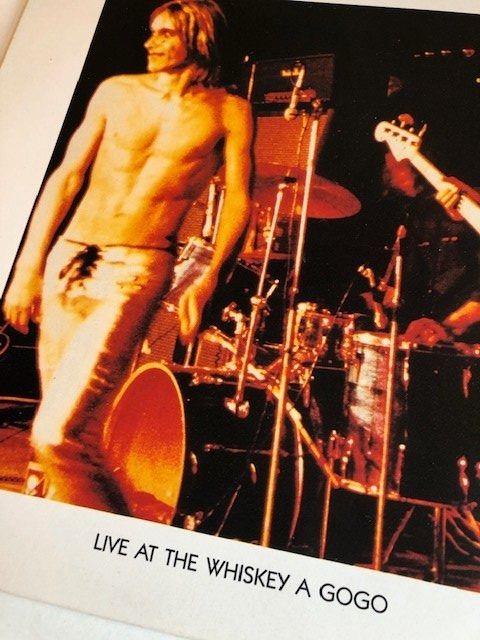 Dischi in vinile: The Stooges – Usato da Aarwangen venduto da Jukebox3 1