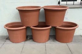 Blumentopf Pflanzentopf Pflanzengefäss Pflanzen Blumen Topf