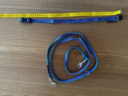 Hundehalsband Leine Set lila blau