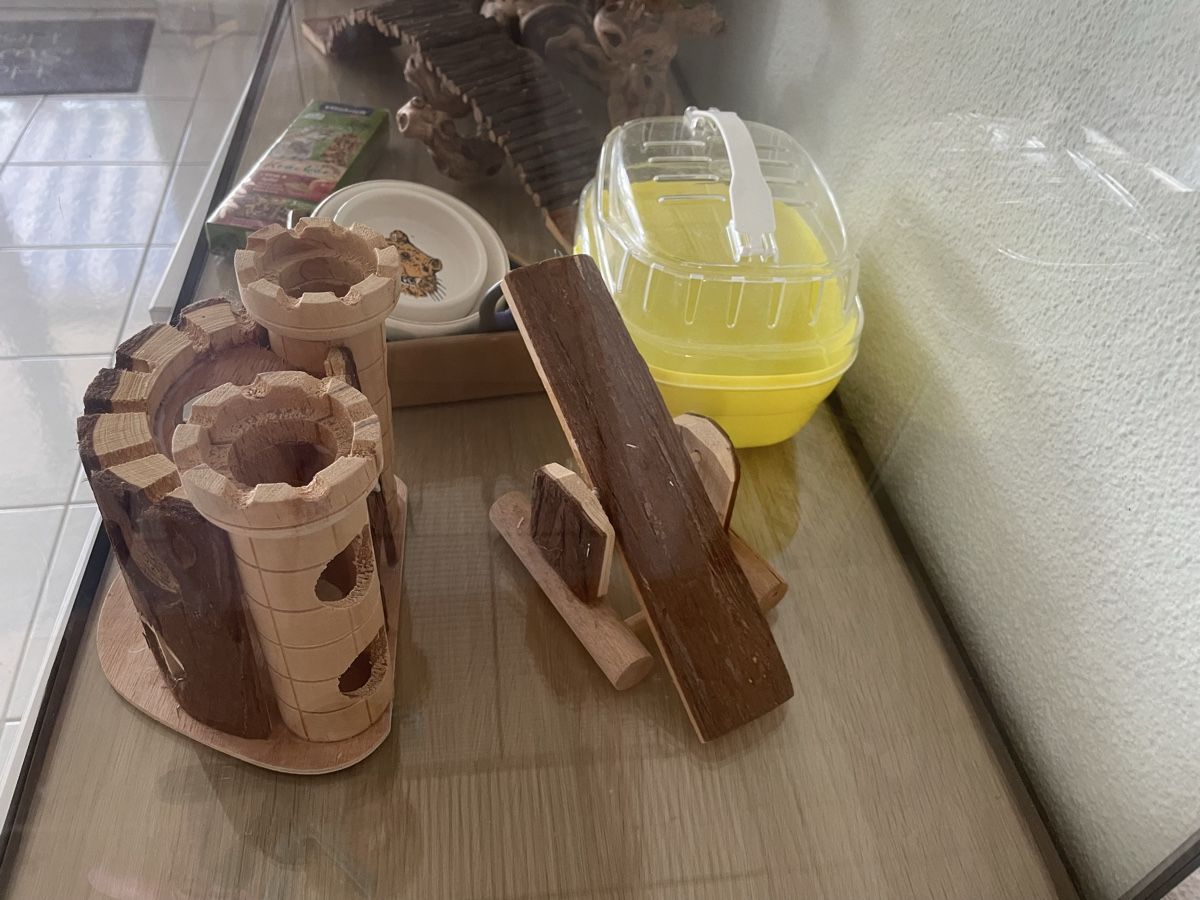 Gabbie, trasporto & Sicurezza: Hamsterkäfig mit Zubehör  – Usato da Fehraltorf venduto da clazu84 1