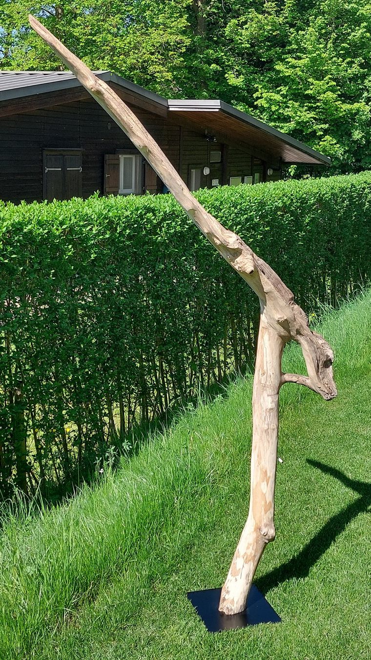 Lampade: Schwemmholz-Leselampe "Arcwood Light" – Nuovo e nell'imballaggio originale da Egnach venduto da Oldwoodstyle 3