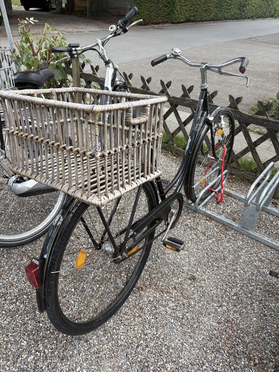 Puch Biciclette: Waffenrad Puch – Usato da Heerbrugg venduto da saryingo 3