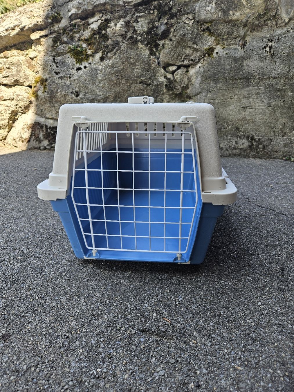 Gabbie, trasporto & Sicurezza: Transportbox – Usato da Ennetbürgen venduto da LebuniaNW 2
