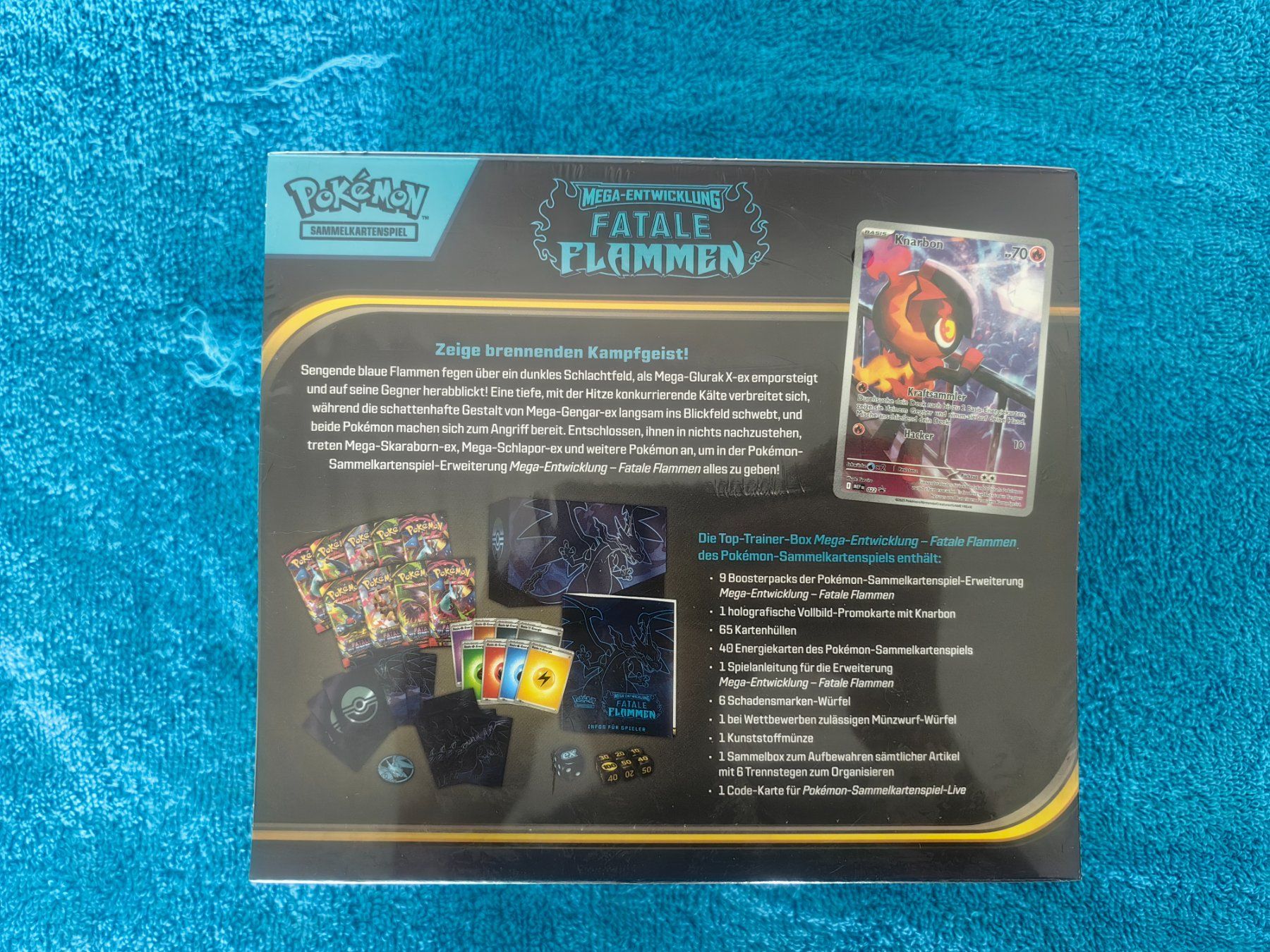 Pokémon Sammelbilder & Trading cards: Fatale Flammen Top Trainer Box – Neu und originalverpackt aus Dübendorf von Exory 1